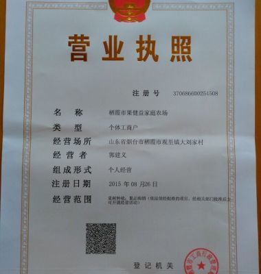 m9t337矮化自根砧蘋(píng)果苗優(yōu)點(diǎn)圖片