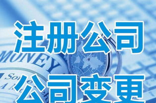 注冊公司 變更 注銷 工商年檢 代辦審批 稅務(wù)疑難